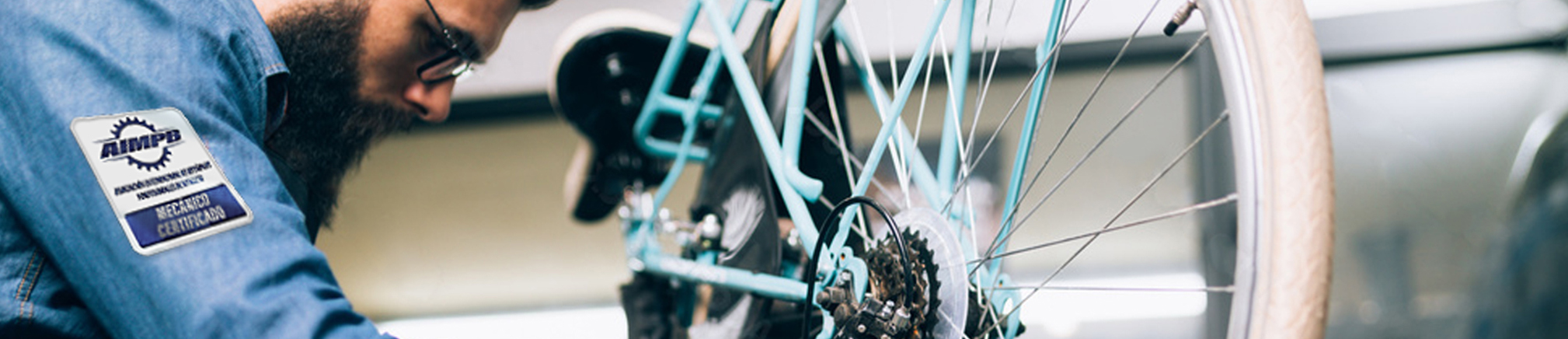 Mecánicos Profesionales